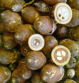 Олія бабасу (Organic)