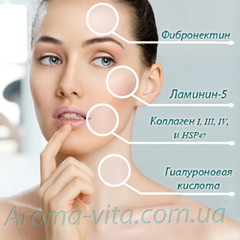 MATRIXYL®synthe’6™