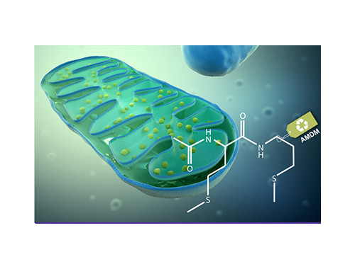 Methiopeptide®