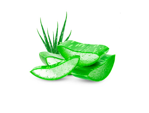 Запашка "Aloe splash"
