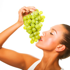 Vitis-Cell